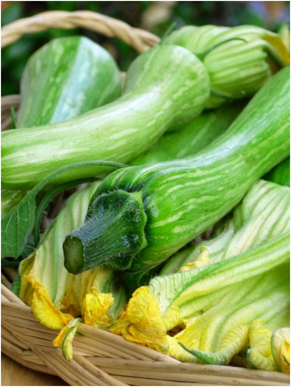 Courgettes de Nice - Cours de cuisine nicoise